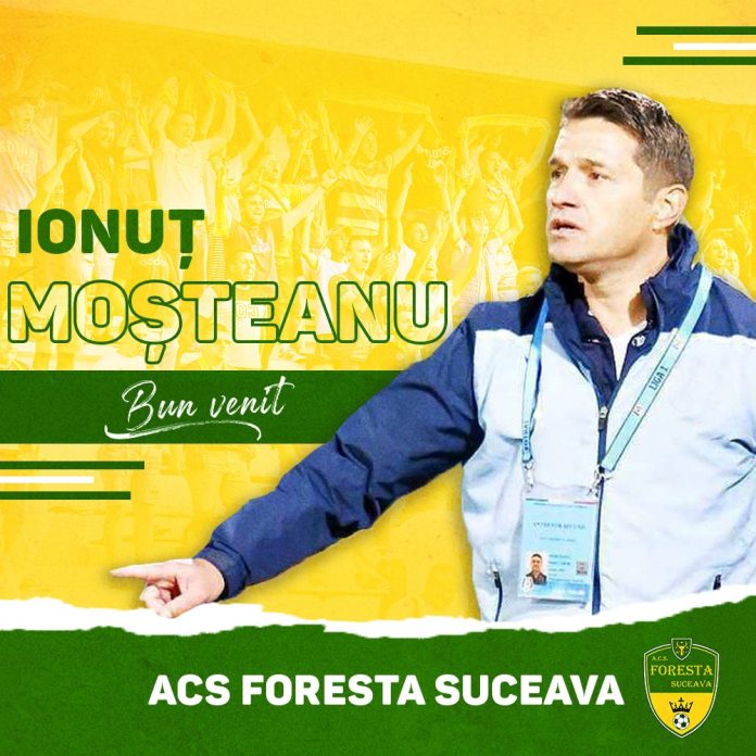 Foresta Suceava - Ionuț Moșteanu